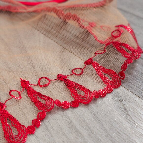 NWT Honey Birdette Ruby Raspberry Red Brief Panty Size Small - Picture 6 of 6